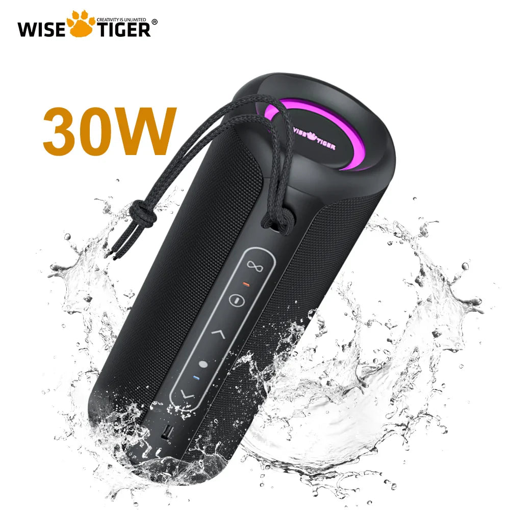 P3 Portable Bluetooth Speaker Audio Crossover: Full-Range