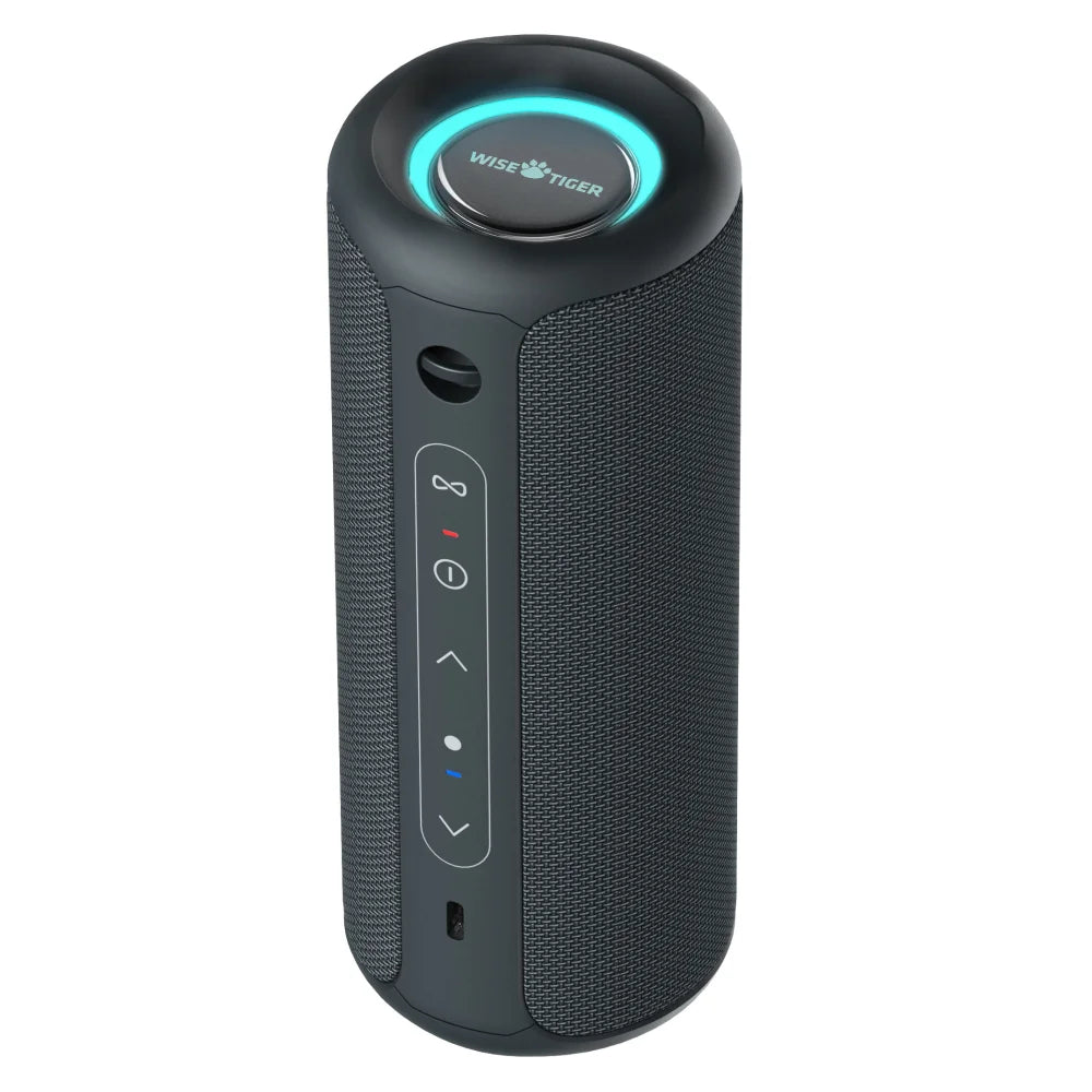 P3 Portable Bluetooth Speaker Audio Crossover: Full-Range