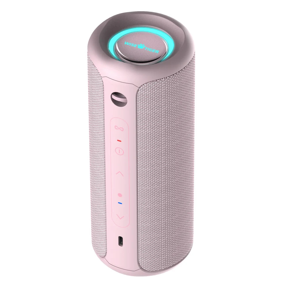 P3 Portable Bluetooth Speaker Audio Crossover: Full-Range